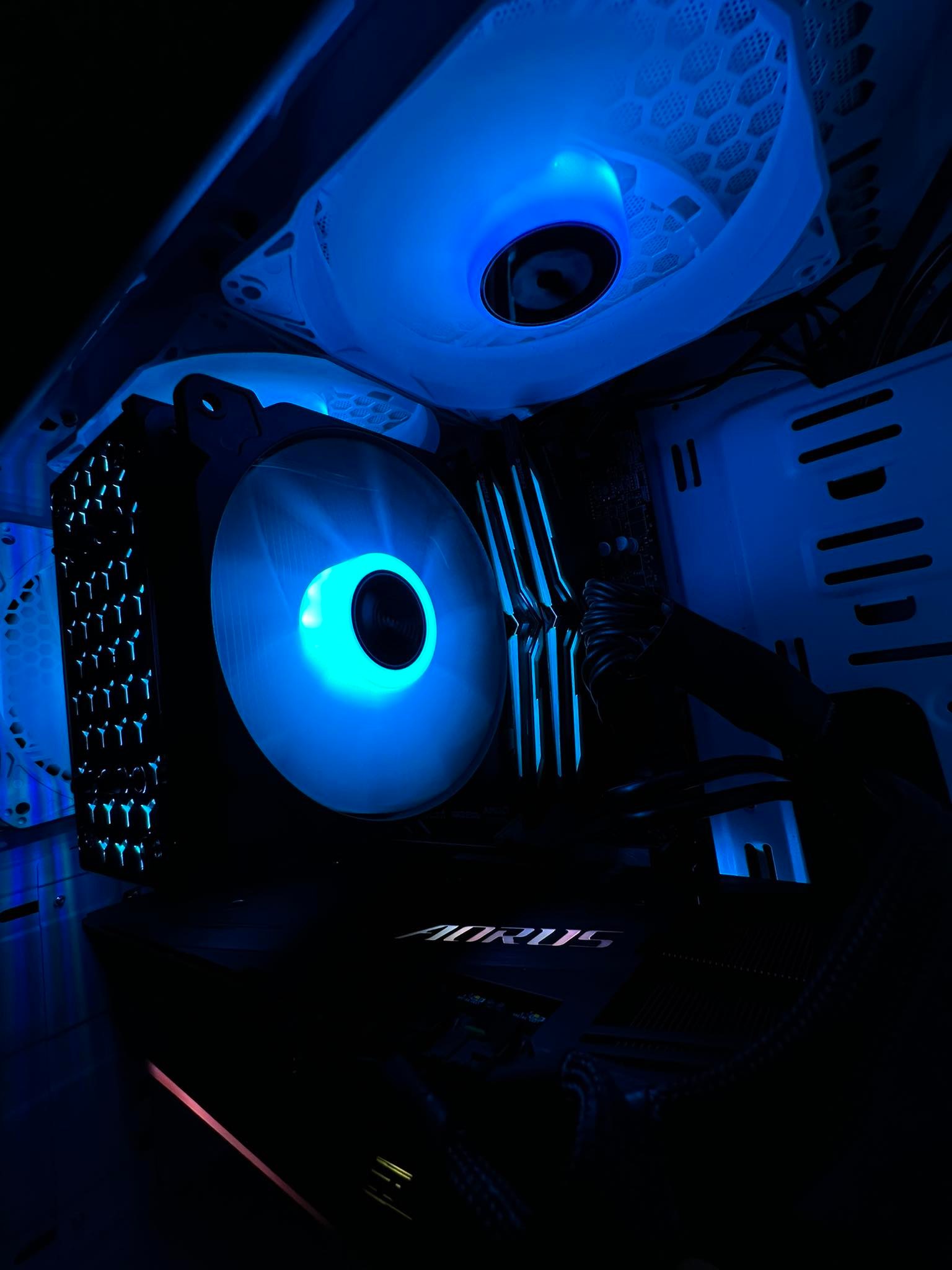 340325302_187525177471923_5659707049136514753_n.jpg