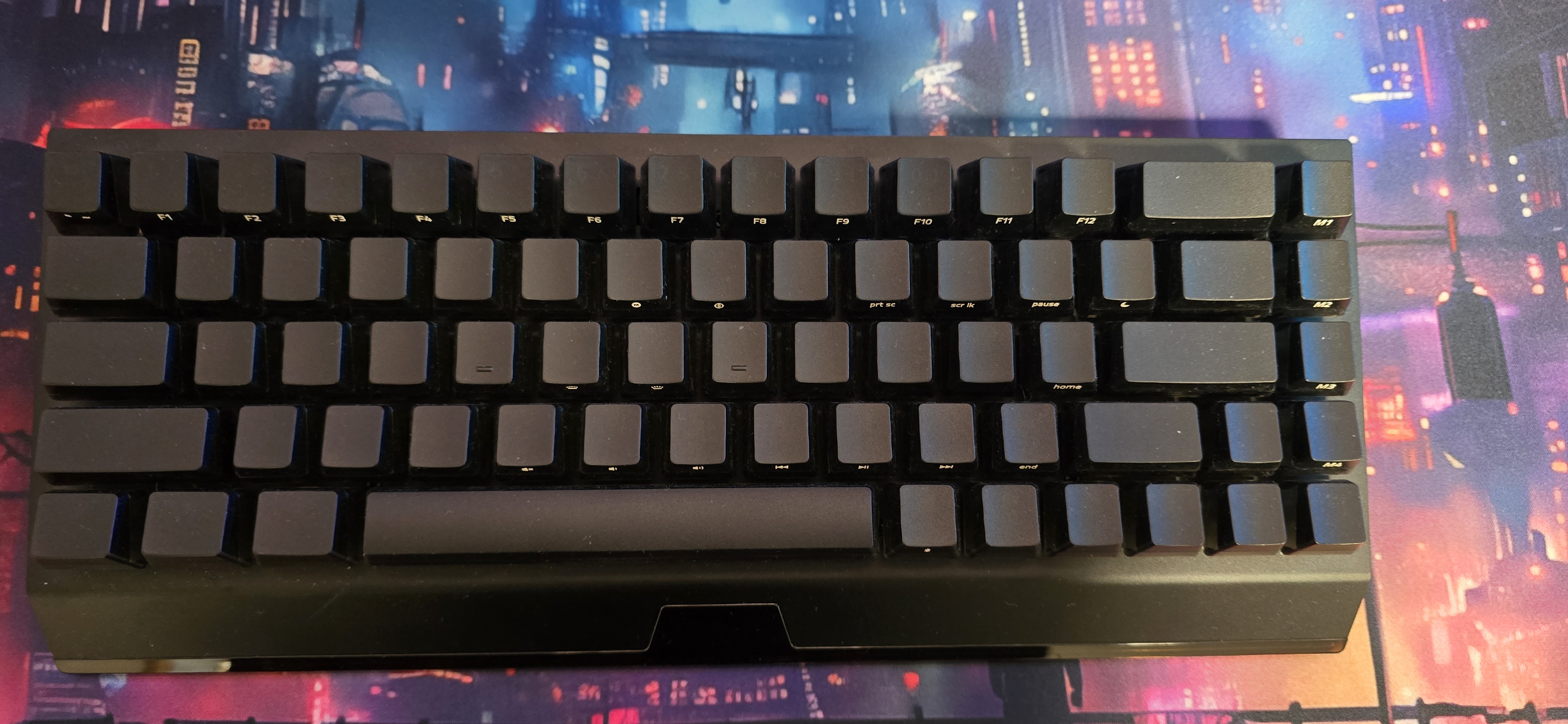 1000003908.jpg