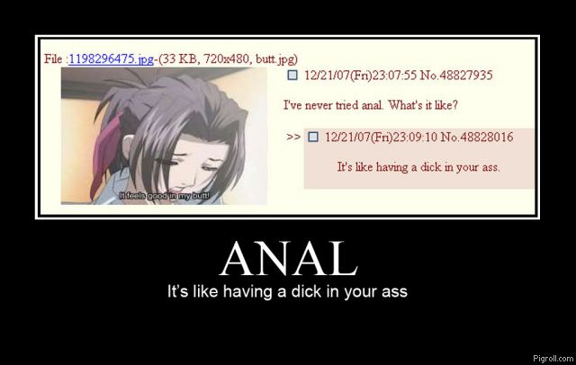 anal_is_like_having_a_dick_in_your_ass.jpg
